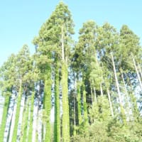 供述調書の作成