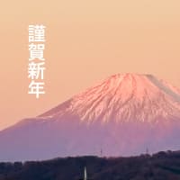 𝗛𝗮𝗽𝗽𝘆 𝗡𝗲𝘄 𝗬𝗲𝗮𝗿♬︎*.:*