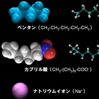 界面活性剤を入れた系のシミュレーションをやってみた