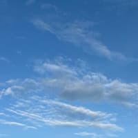 今日の事