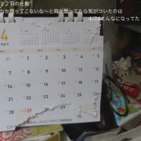 ちょっと前の画像を整理して