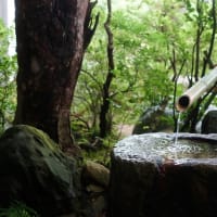 日本一の庭園「足立美術館」03
