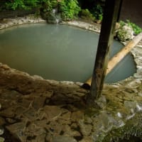 ICJが以のパレスチナ占領政策に勧告‼&七尾の能登島水族館,半年ぶり再開っ‼&2014信州夏山奥飛騨旅行、まずは上高地,続いて白骨温泉へ・&トランプ氏の副大統領はインド系も批判や物議！？