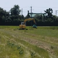 排水路斜面の草刈り