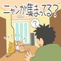 「ルキとサンは野良出身」