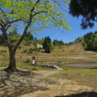 比良山系（金糞峠～八雲ヶ原～北比良峠）