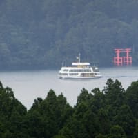 静岡県 in ドクターイエロー　１