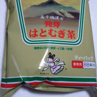 250613 高千穂漢方研究所 発芽はとむぎ茶(業務用) 88P