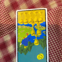 タロットの勉強開始