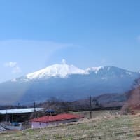 今度は本当に〝桜紀行〟の最終編ですからね！