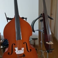 エレキベースとウッドベース