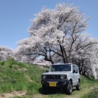 安曇野も桜満開