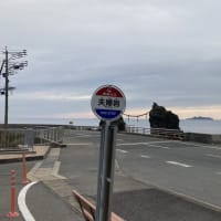 お花見いってきた・・・