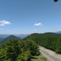 2025-06-19 Photo