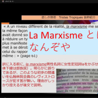 悲しき熱帯2　構造主義　マルクス　サルトル　Youtubeに公開したぞ！