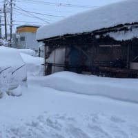 降りすぎだ・・・の巻