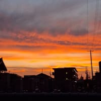 暑い日を予想させた前日の夕焼け空