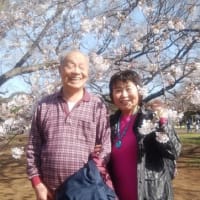 ★毎日i一所懸命だった　６年前の投稿