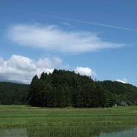 空を走る電線