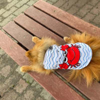 今日の愛犬「ラブ」6/25