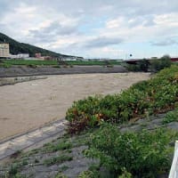 大雨一過後の濁流を見る