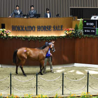 JRA競走に勝ったセール出身馬紹介(2025/6/21-22､20頭)