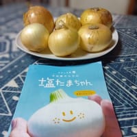 差し入れ色々🙏