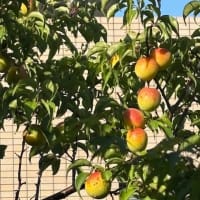 わがままなお客様