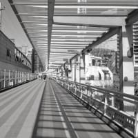 北与野駅界隈