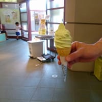 鳥取県立美術館となしっこ館