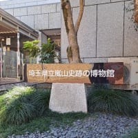 史跡の博物館、嵐山町、らんざんまち