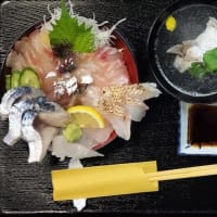 瀬戸内の魚・海鮮丼