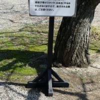水戸の車椅子(2)