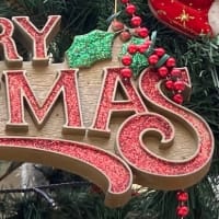 今年のクリスマスの総括
