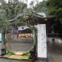 今年も調布・布多天神社の夏越大祓式・茅の輪くぐり神事