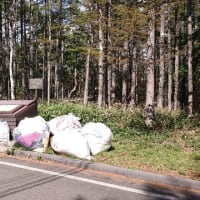【241】こんなゴミ置き場「見たくない！」