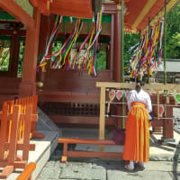 鶴岡八幡宮の銀杏
