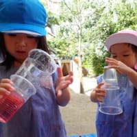 たけ・かえで　２・３歳児　色水遊び