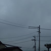 大雨だ