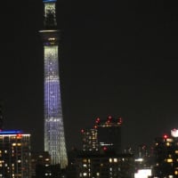 日向坂46の虹開催記念特別ライティング11
