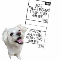 4/29（火・祝）、レッスンスケジュールのお知らせ