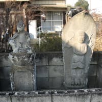 館林市上赤生田町・観音堂の青面金剛像
