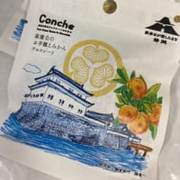 家康公お手植みかんチョコレート