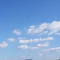 毎日ブログって難しいですね…