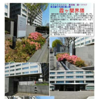 施設案内東京-525　東京・霞ヶ関の建物　