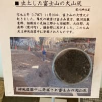 鎮・散歩その2〜相模国一の宮・寒川神社〜