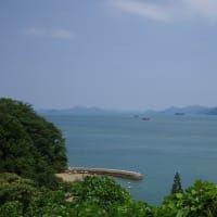 とびしま海道と牡蠣カレー