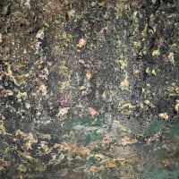 「アンゼルム・キーファー、ソラリス」展