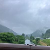 今日は雨です…