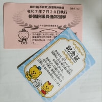 期日前投票に行きました